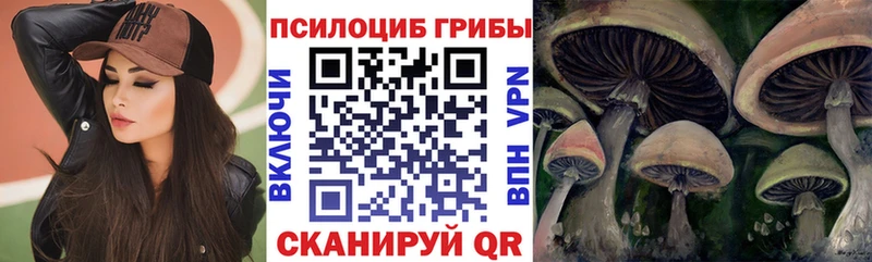 Галлюциногенные грибы прущие грибы Константиновск
