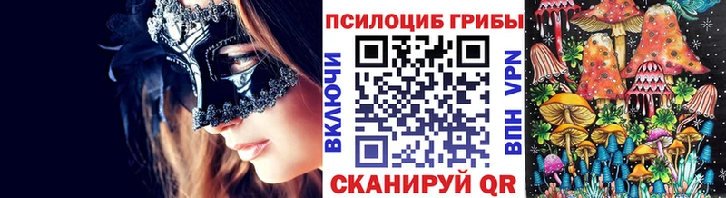darknet клад Константиновск Псилоцибиновые грибы MAGIC MUSHROOMS